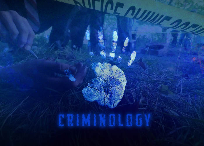 criminology based projects